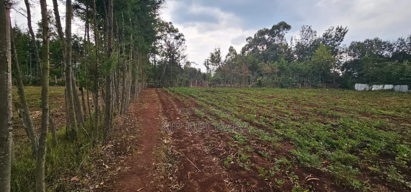 Several Plots for Sale in Racecours Eldoret