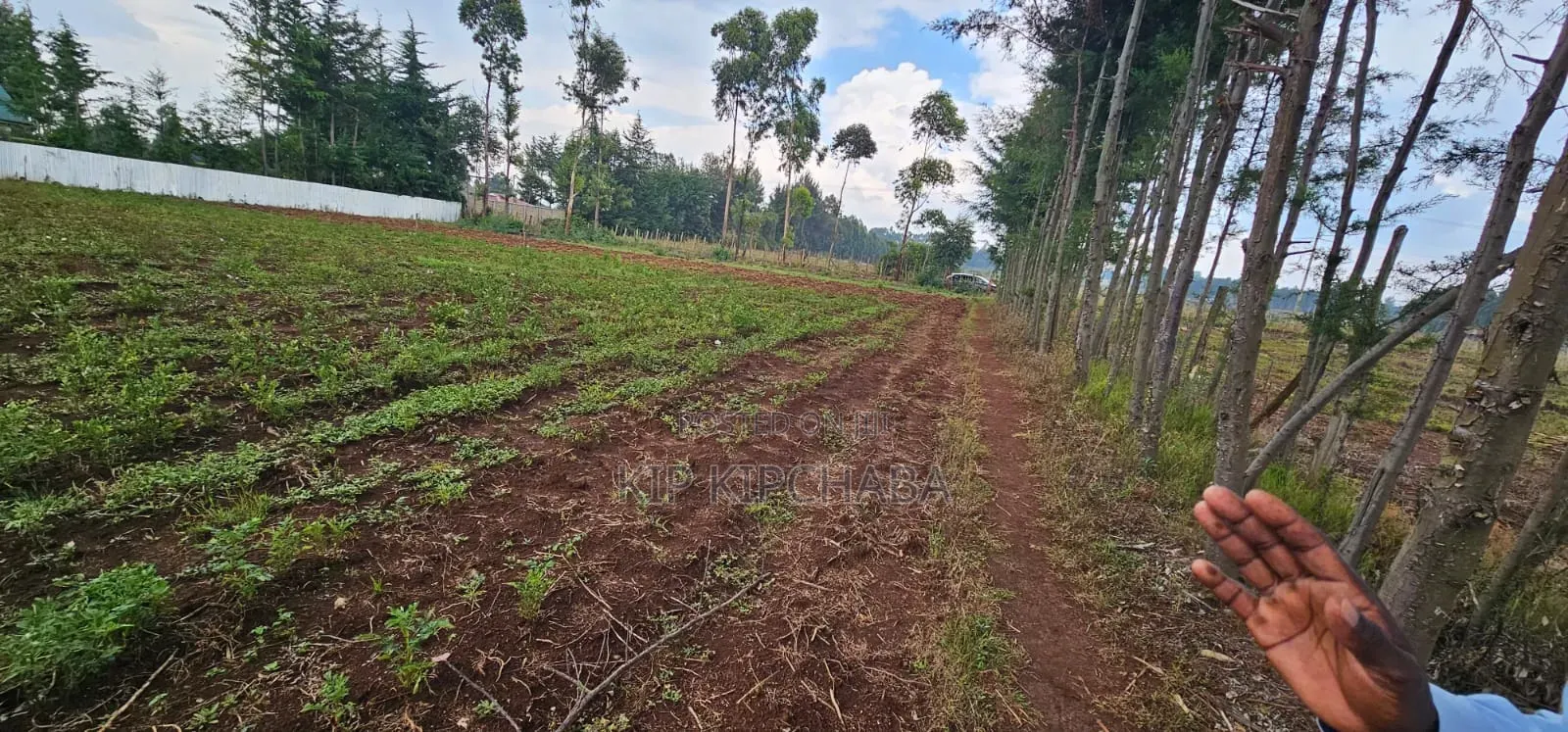 Several Plots for Sale in Racecours Eldoret