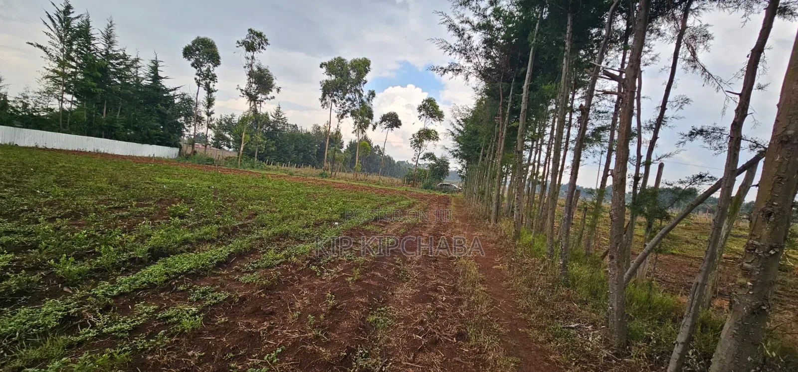 Several Plots for Sale in Racecours Eldoret