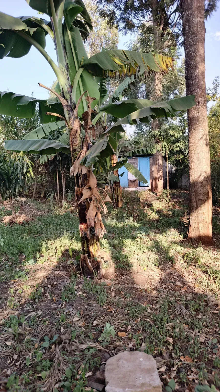 4bdrm Bungalow in Ngong for sale