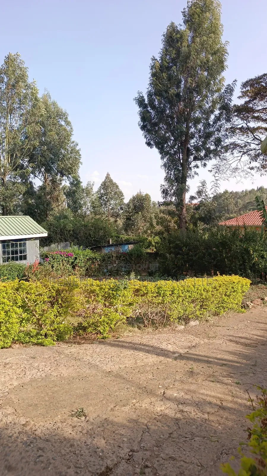 4bdrm Bungalow in Ngong for sale