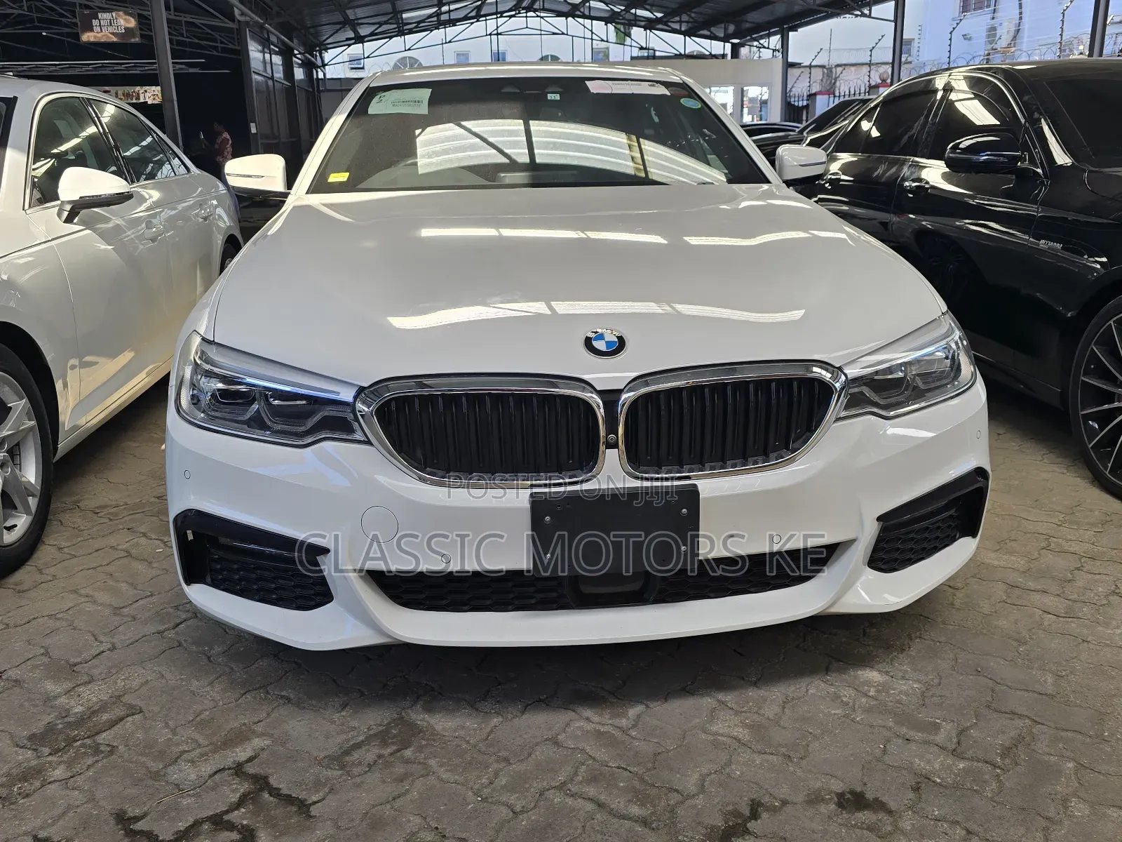 BMW 523i 2019 White