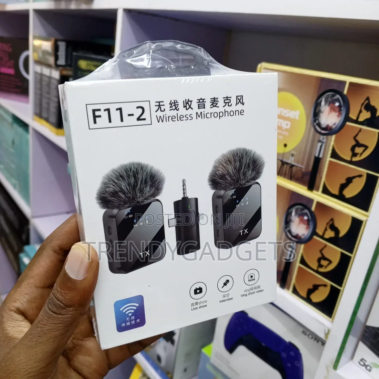 F11-2 Professional Wireless Lavalier Mic for Tiktok, Zoom, Youtube