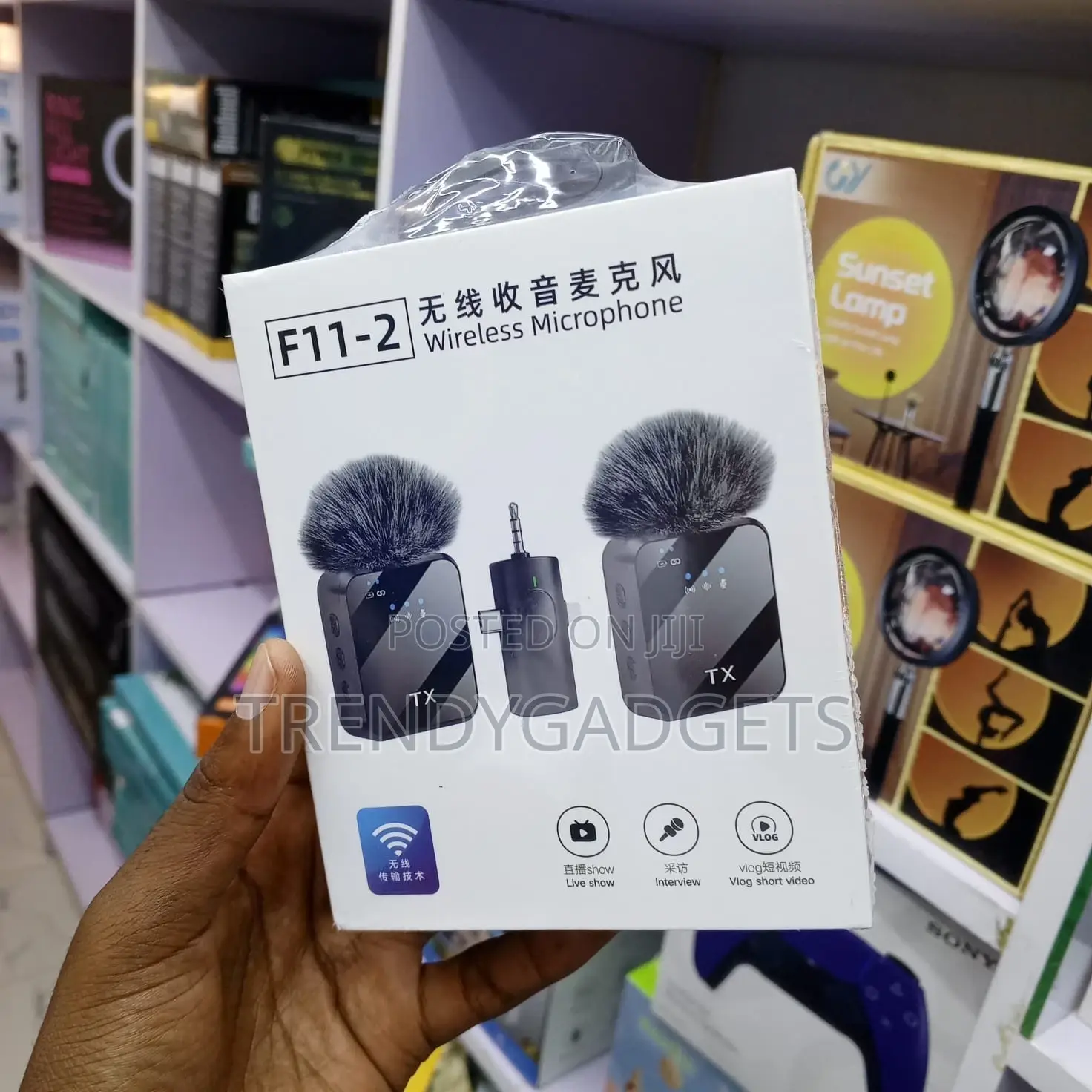 F11-2 Professional Wireless Lavalier Mic for Tiktok, Zoom, Youtube