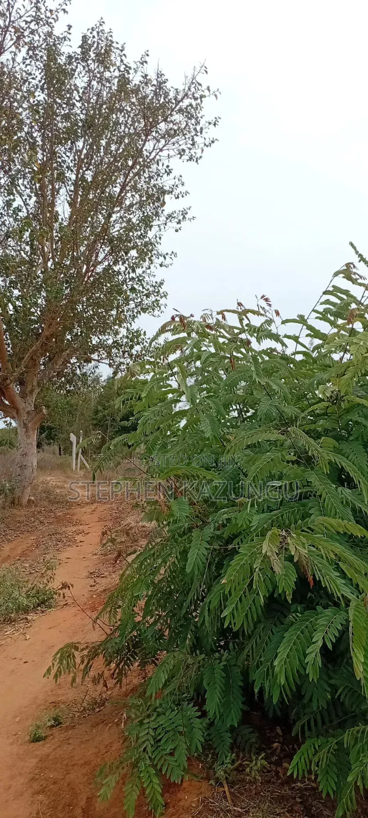 1/4 Acre Plot On Sale At Kinondo Town, Opposite Kinondo Hospital.