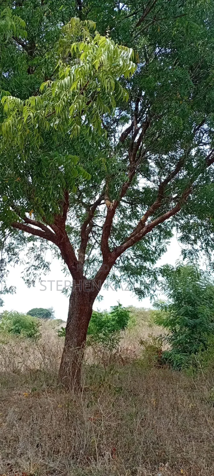 1/4 Acre Plot On Sale At Kinondo Town, Opposite Kinondo Hospital.