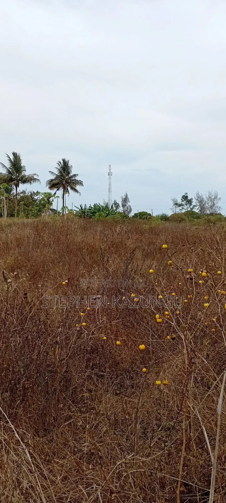 1/4 Acre Plot On Sale At Kinondo Town, Opposite Kinondo Hospital.