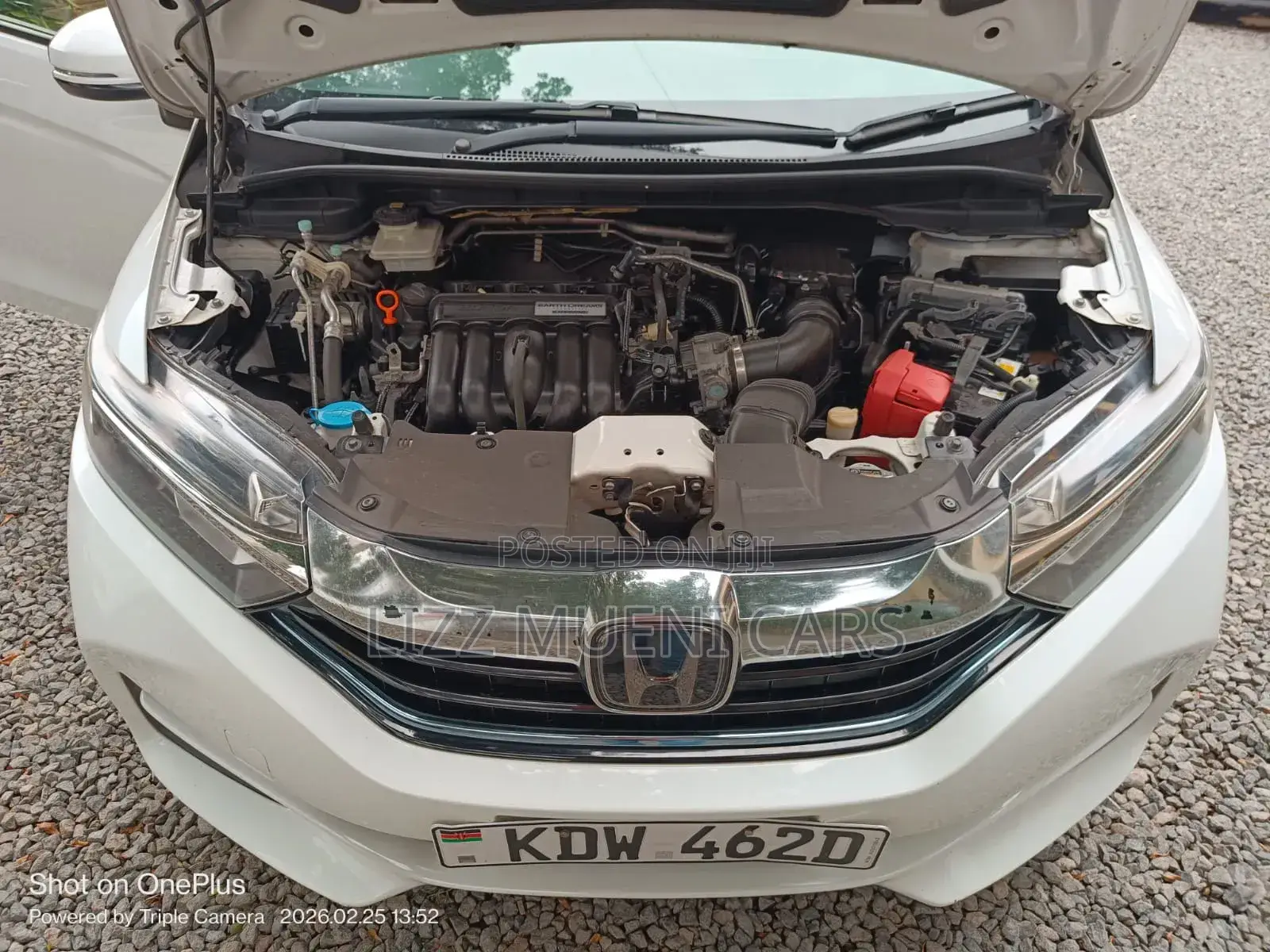 Honda Fit Shuttle 1.5 Hybrid 2WD 2018 White