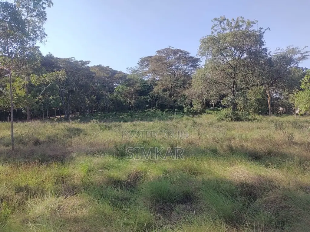 1-Acre Plots for Sale in a Gated Community in Karen