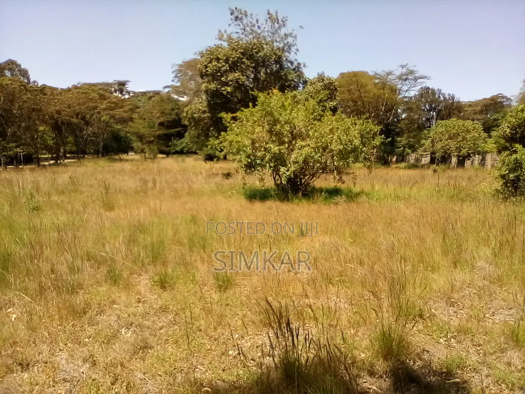 1-Acre Plots for Sale in a Gated Community in Karen
