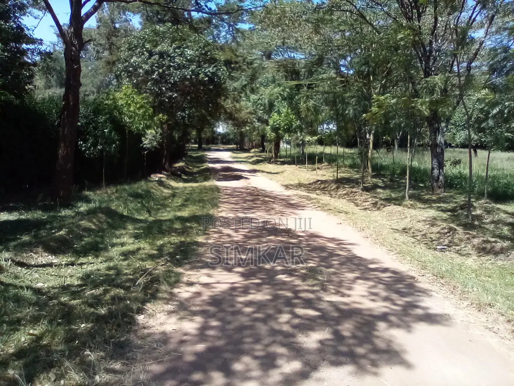 1-Acre Plots for Sale in a Gated Community in Karen