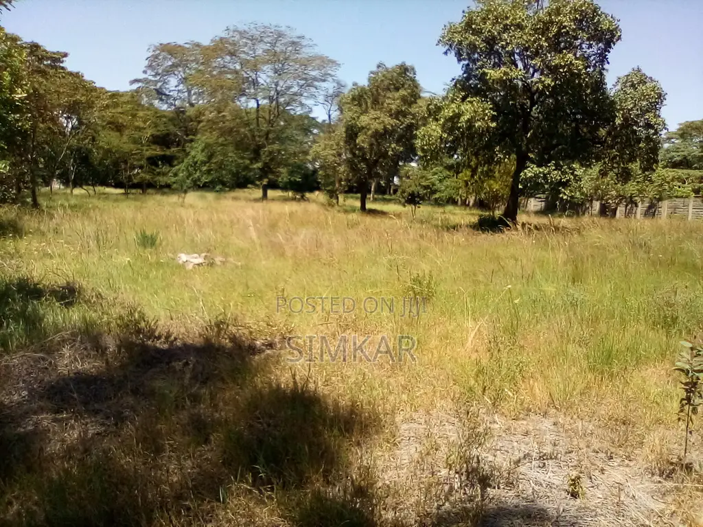 1-Acre Plots for Sale in a Gated Community in Karen