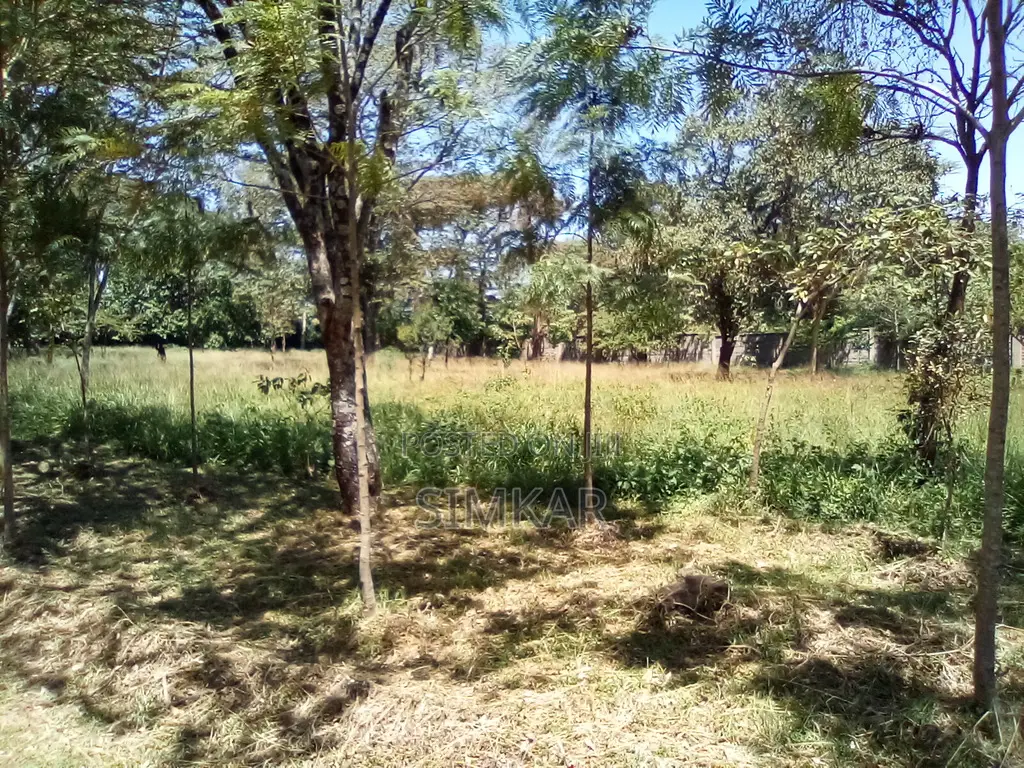 1-Acre Plots for Sale in a Gated Community in Karen