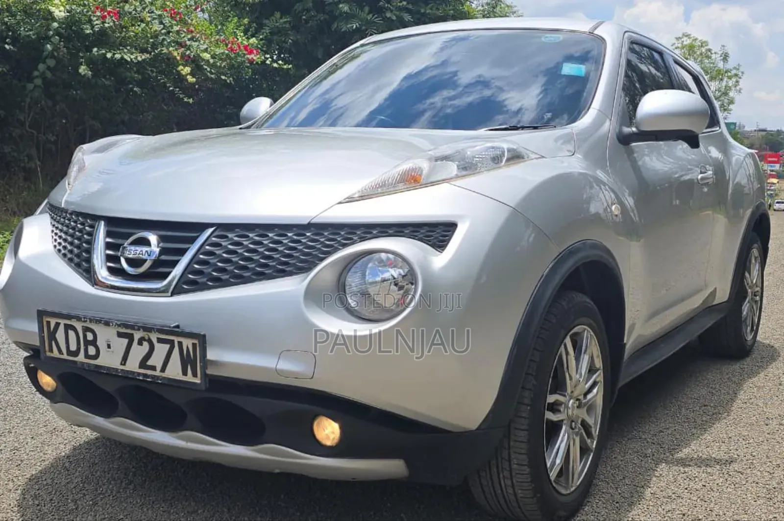 Nissan Juke 2013 Silver