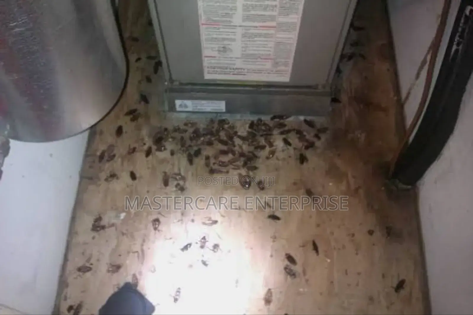 Fridge Fumigation