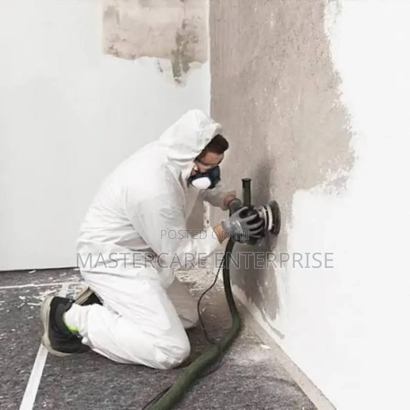 Walls and Ceiling Molds