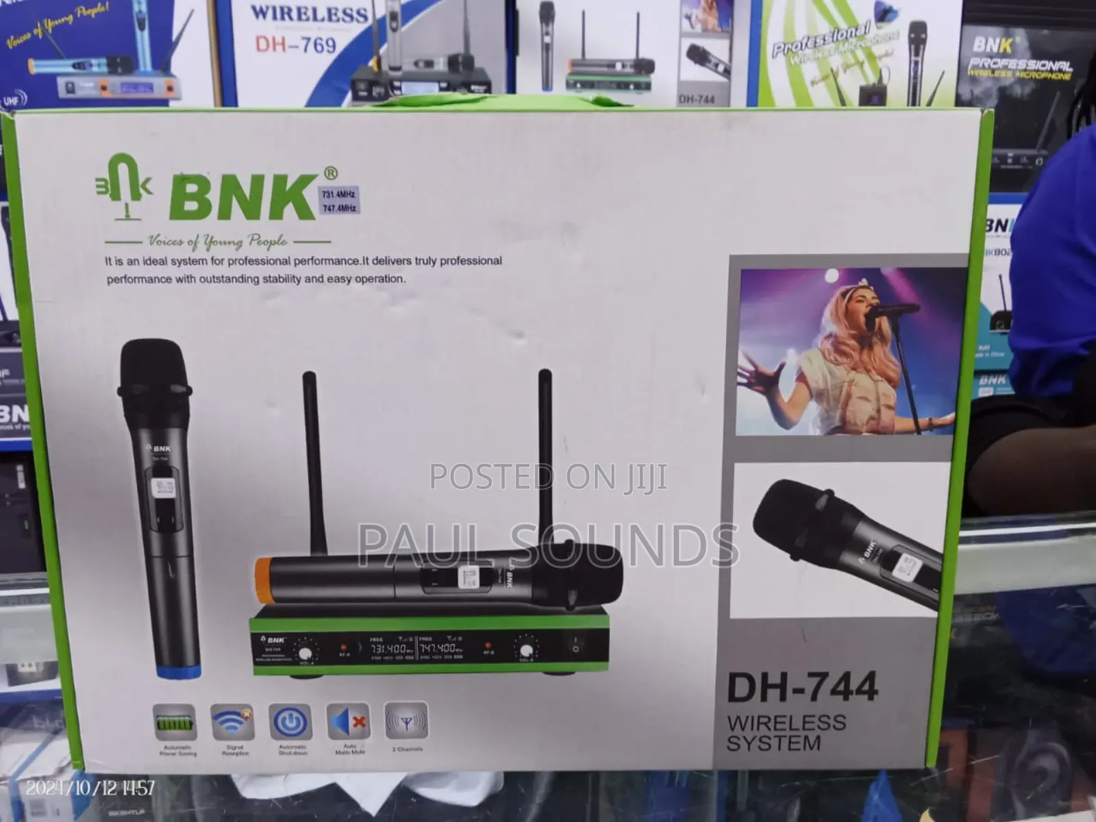 BNK Dh-744 Dual Wireless Microphone System