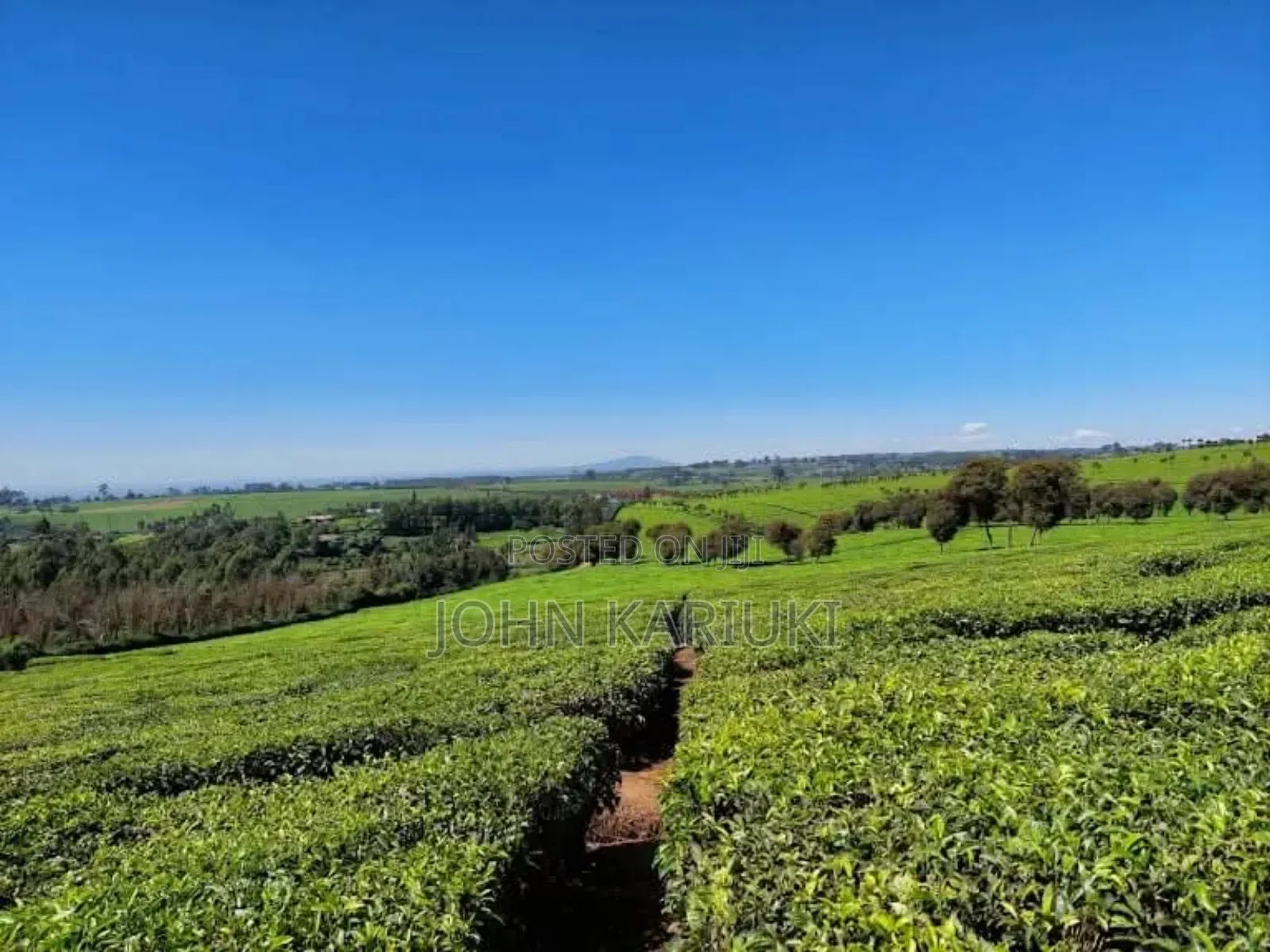 64 Acres Touching Tarmac Ndumberi Limuru Rd at 20m Per Acre