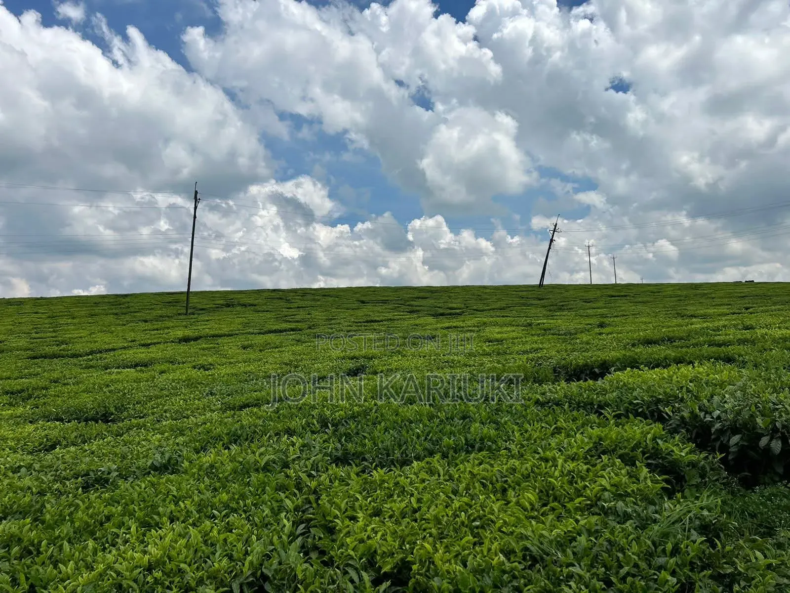 64 Acres Touching Tarmac Ndumberi Limuru Rd at 20m Per Acre