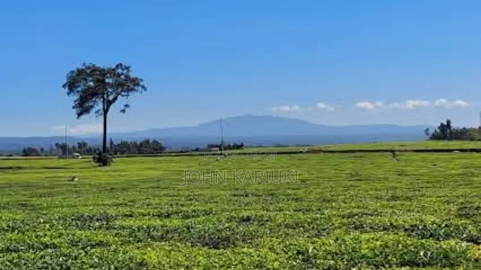 64 Acres Touching Tarmac Ndumberi Limuru Rd at 20m Per Acre