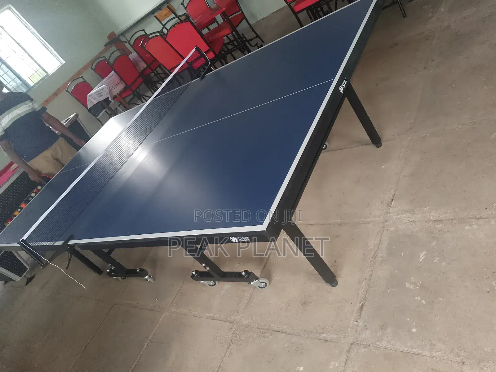 Professional Ping Pong Table Set