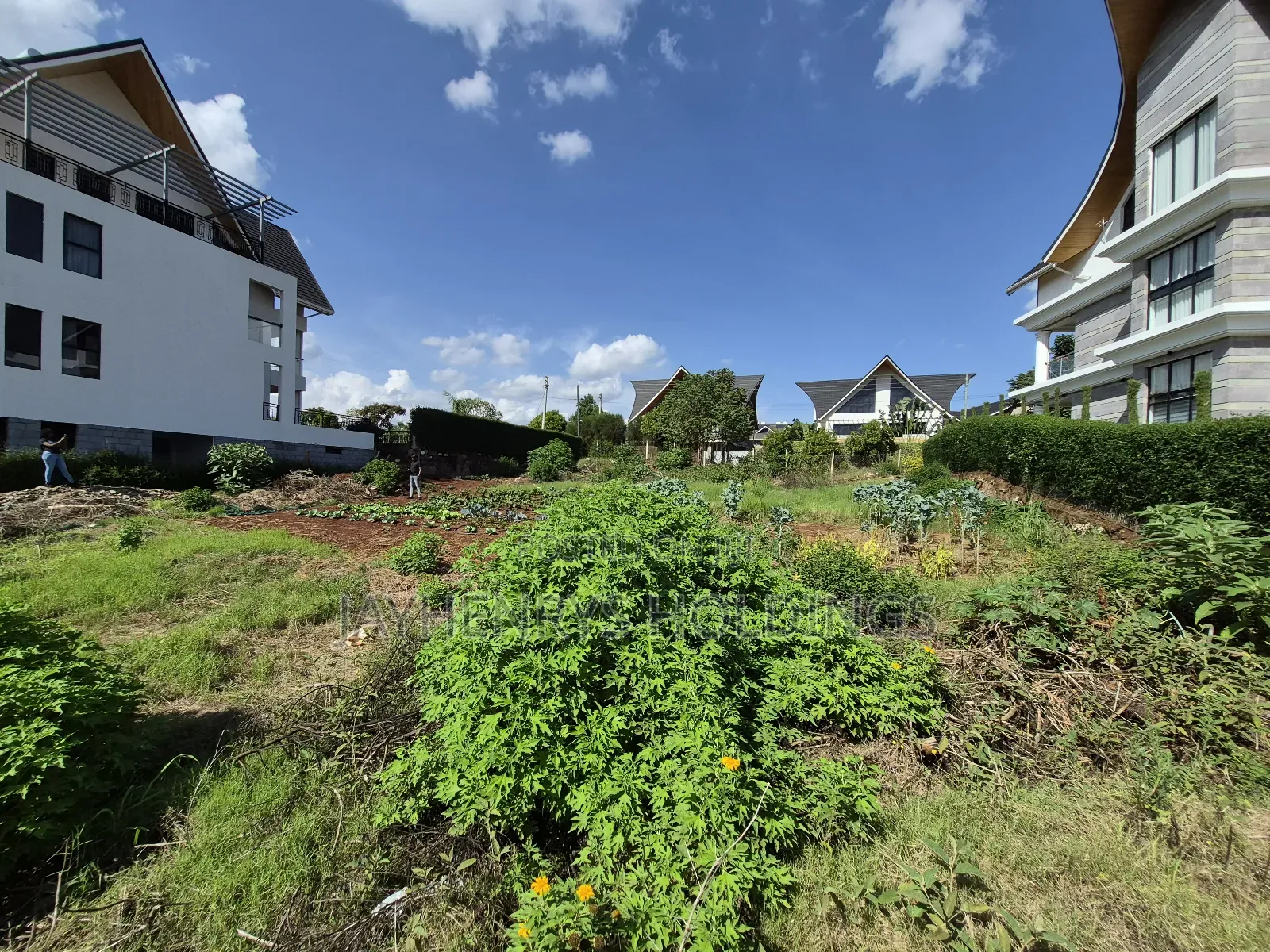 1/4 Acre Plot for Sale in Daykio Bustani Estate