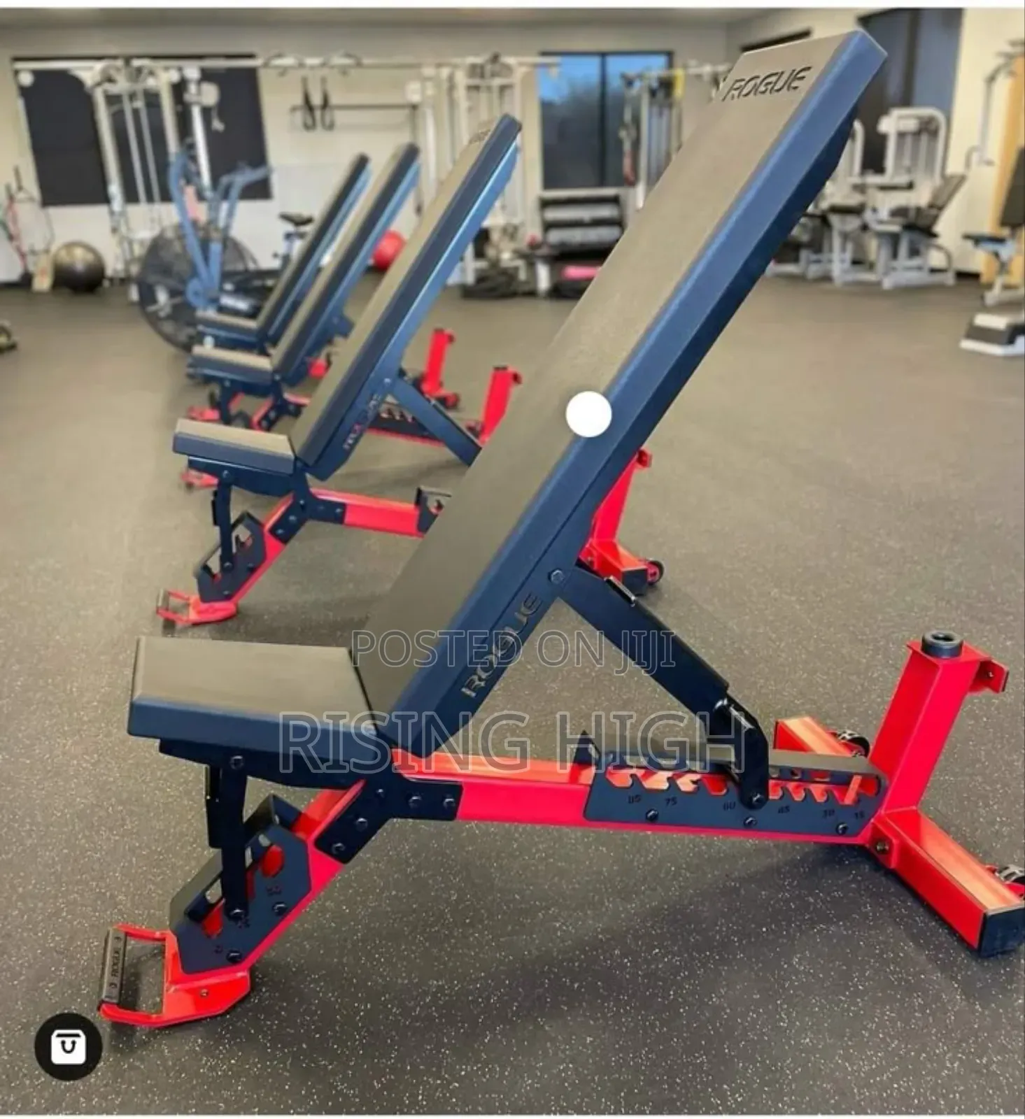 High Performance Gym Bench