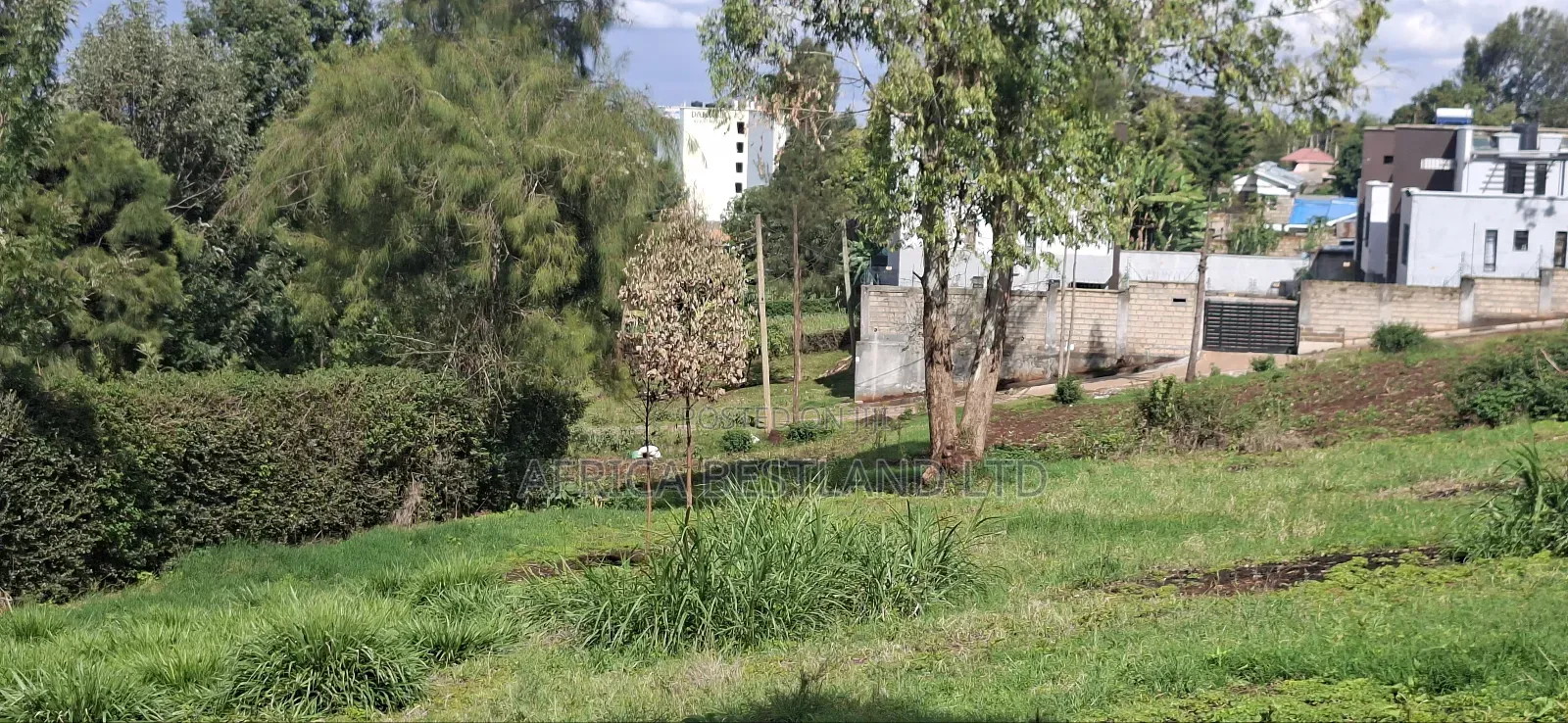 100x100 Available Plot in Kabete Gitaru