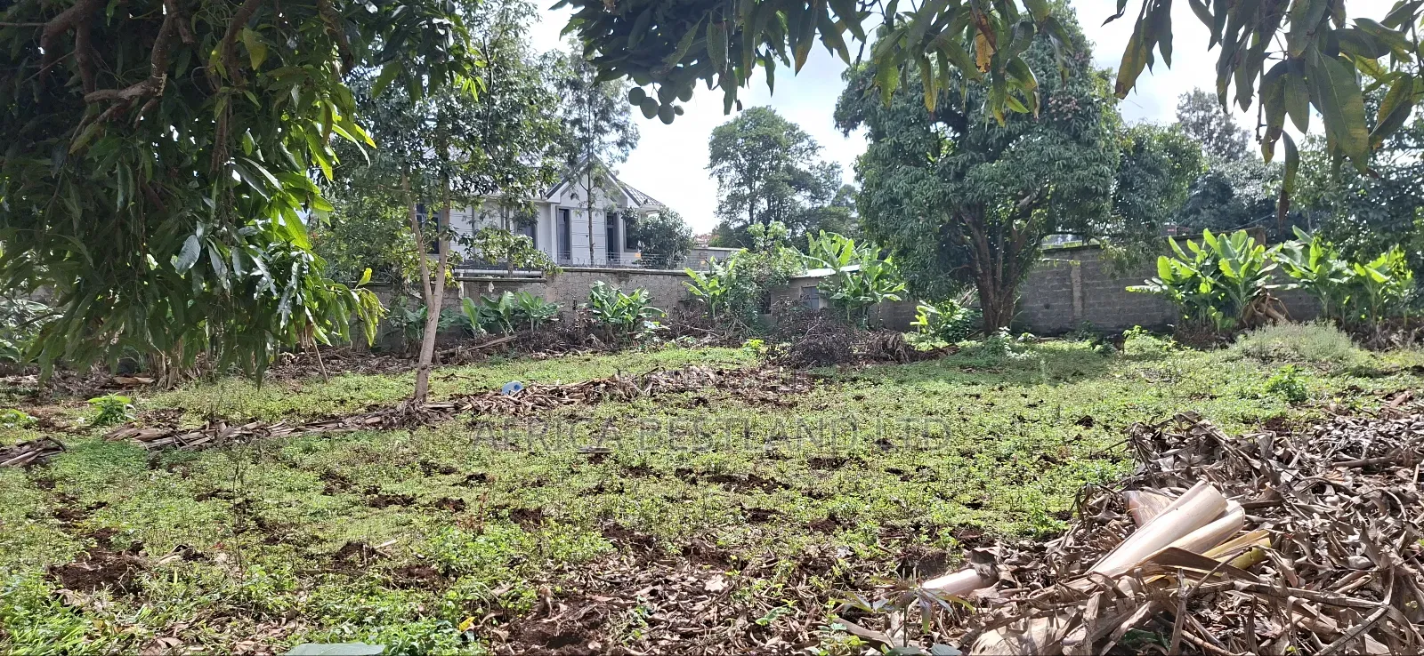 1/2 Acre for Sale Kabete Kanyariri
