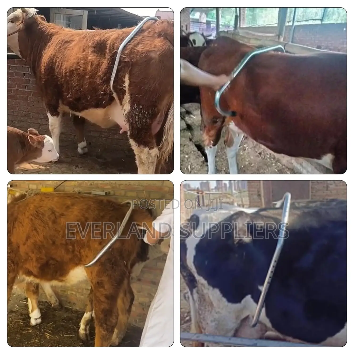Strong Metal Anti-Kick Bar for Dairy Farms