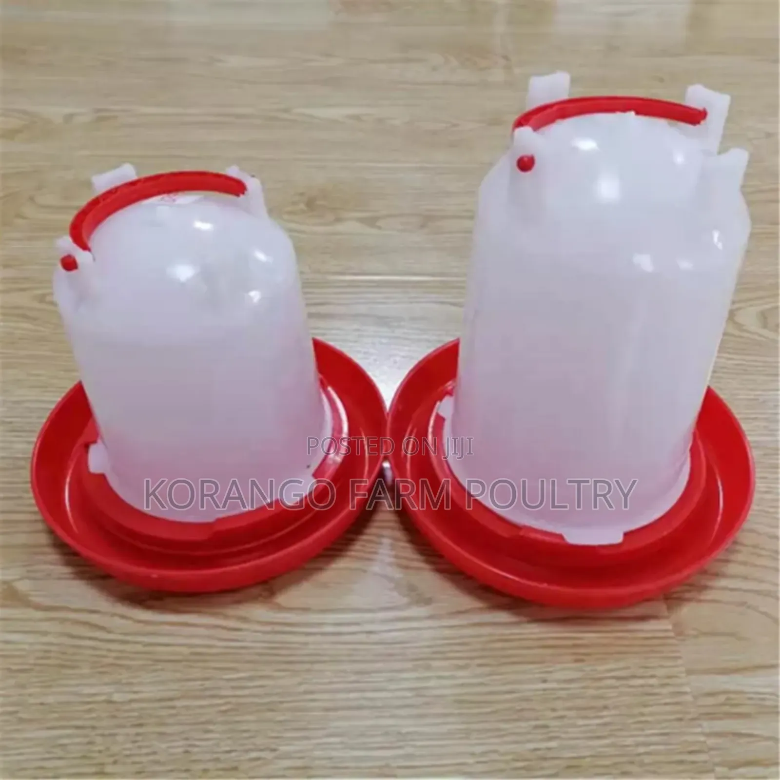 Chicken Drinkers
