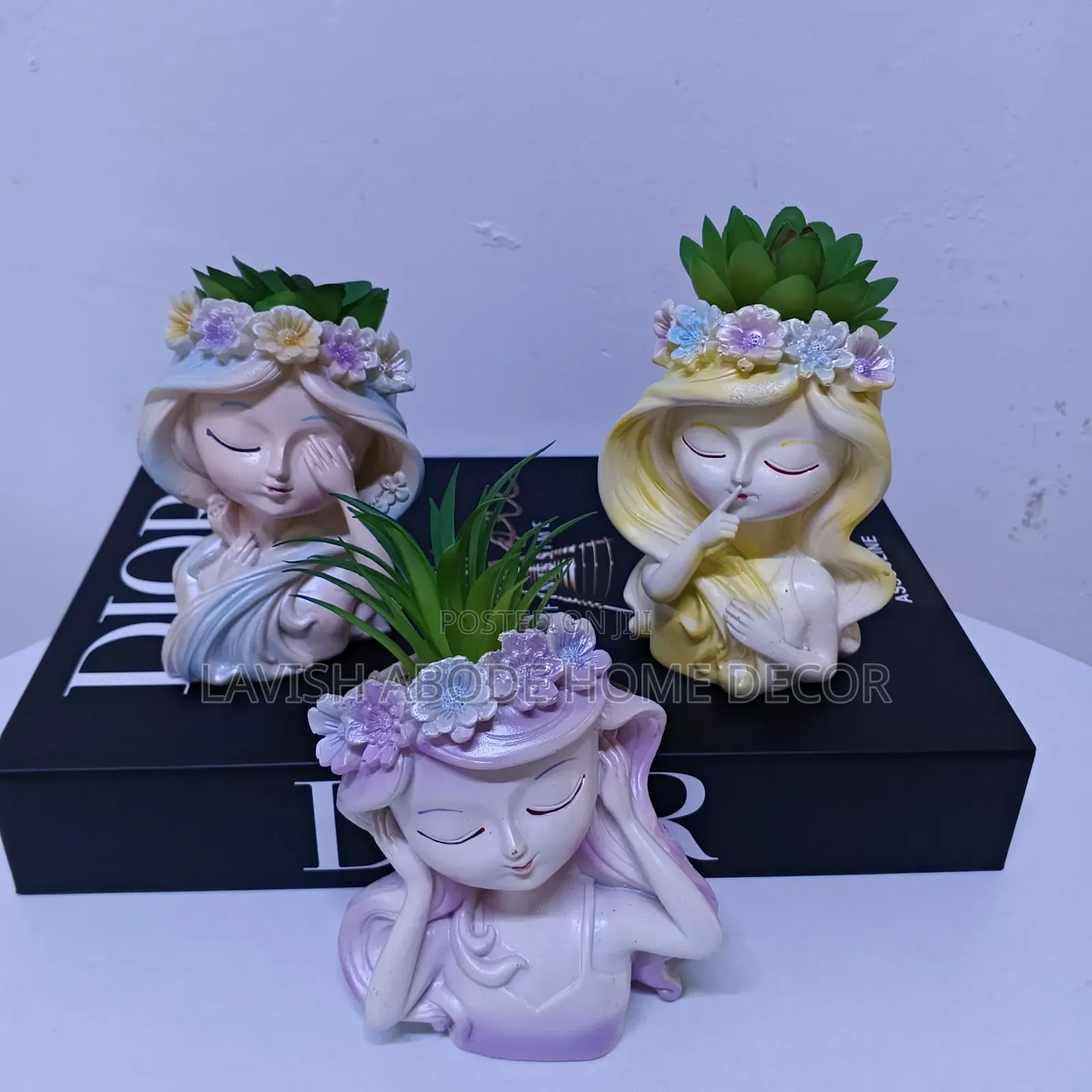 Doll Succulents for Office/Homes