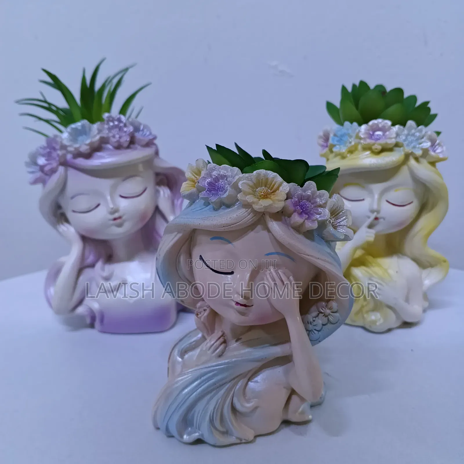 Doll Succulents for Office/Homes