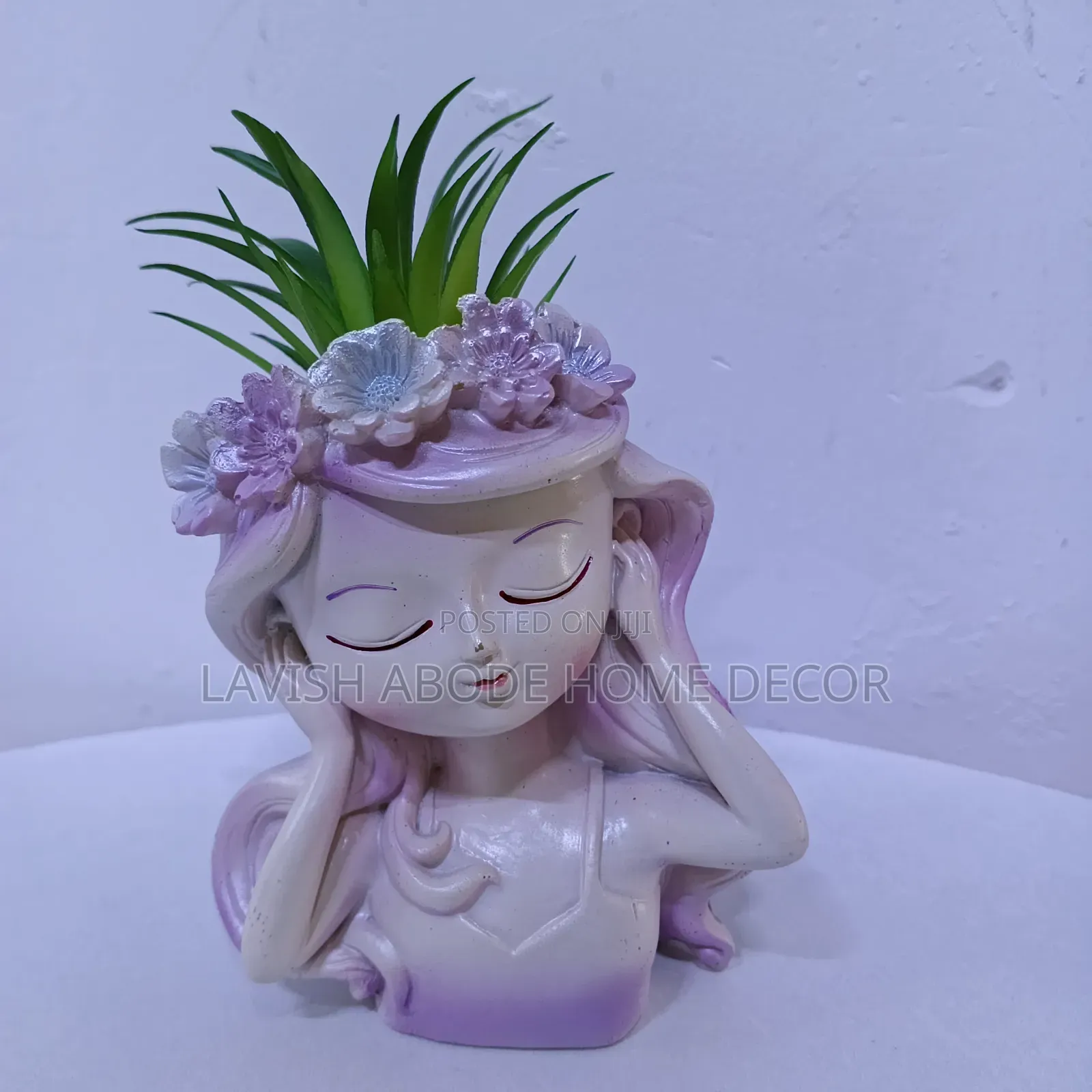Doll Succulents for Office/Homes