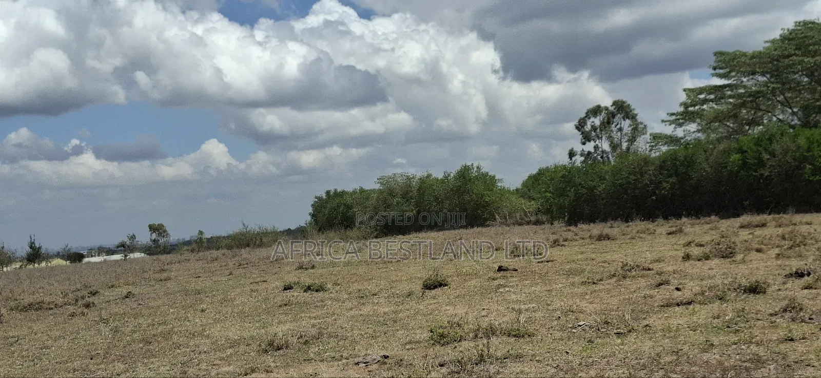 1.25 Acres Available Land for Sale Rongai Tuala