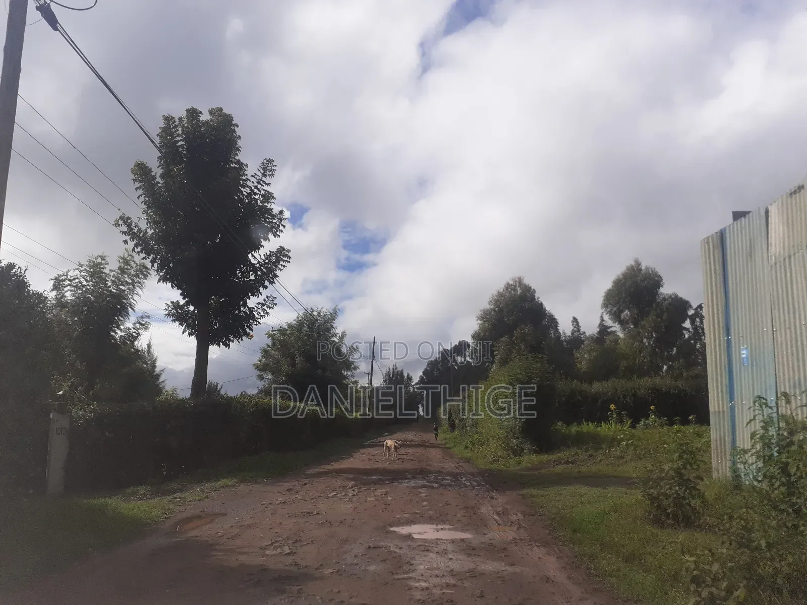 50 by 100 Plot in Kamangu Kikuyu 700 Meters to Kamandura-Gikambura Rd