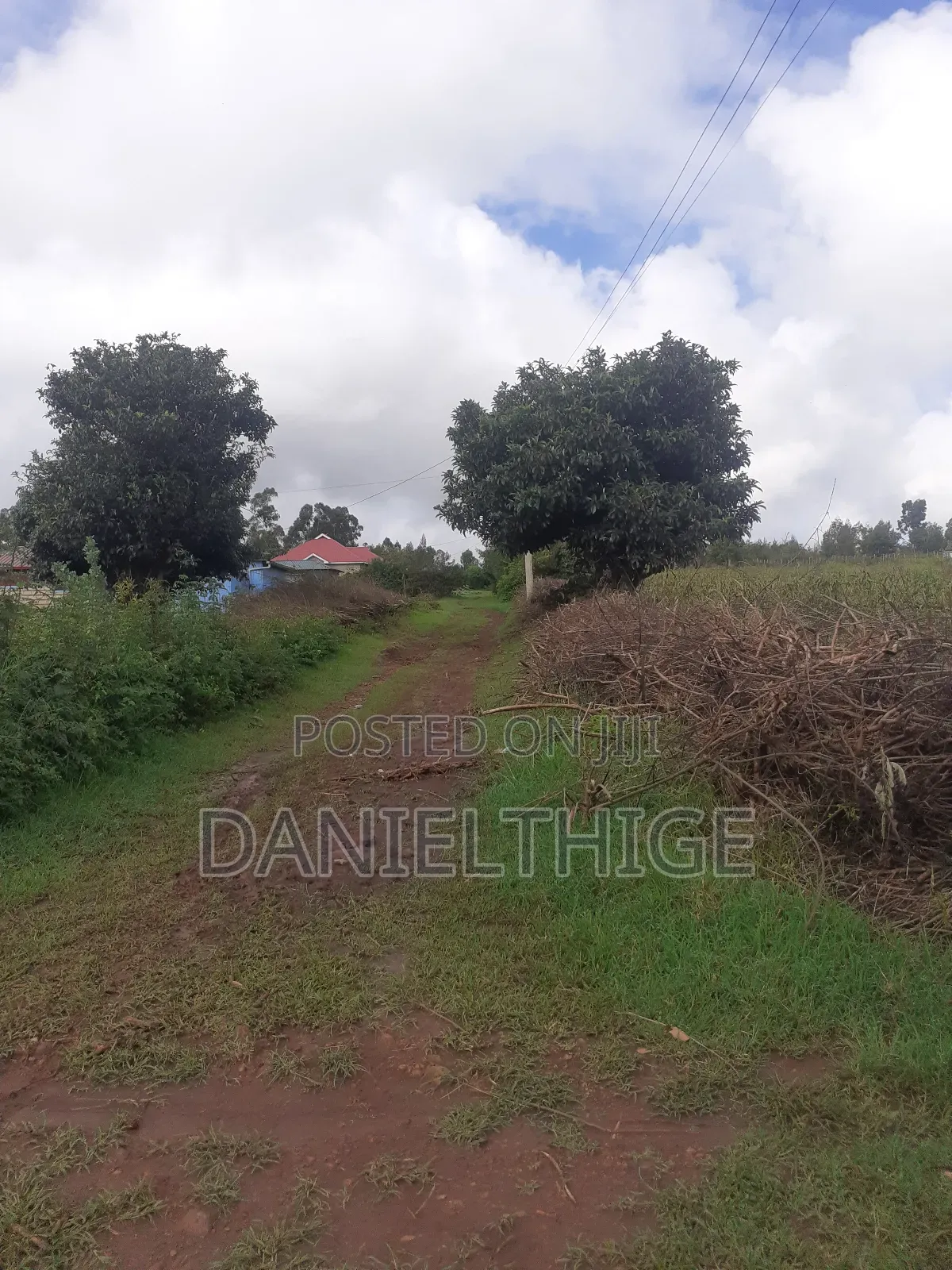 50 by 100 Plot in Kamangu Kikuyu 700 Meters to Kamandura-Gikambura Rd