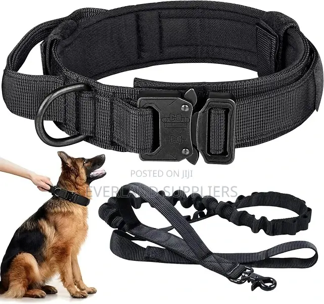 Tactical Collar and Leash for Walking Dogs.