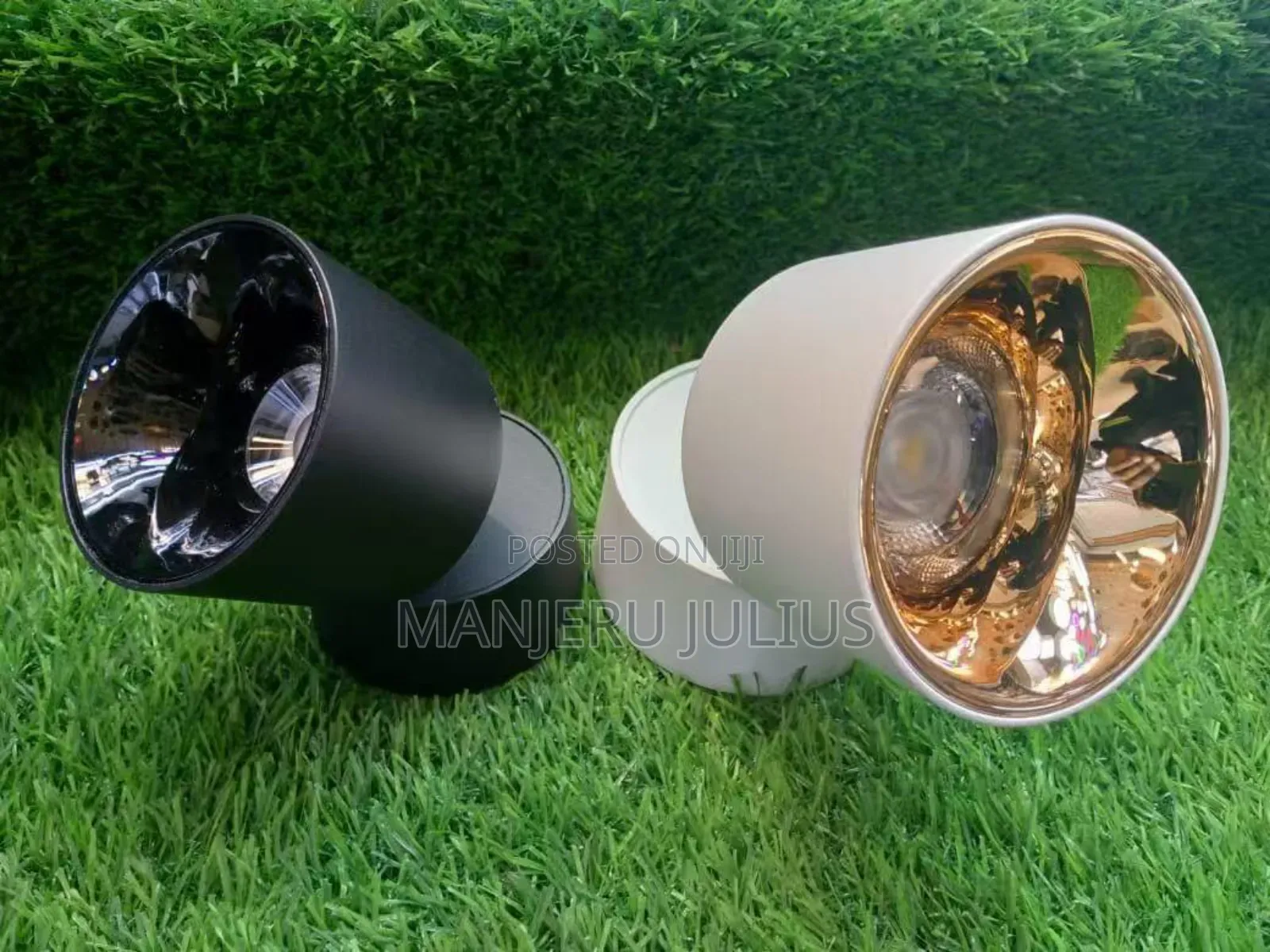 Adjustable Surface Downlight
