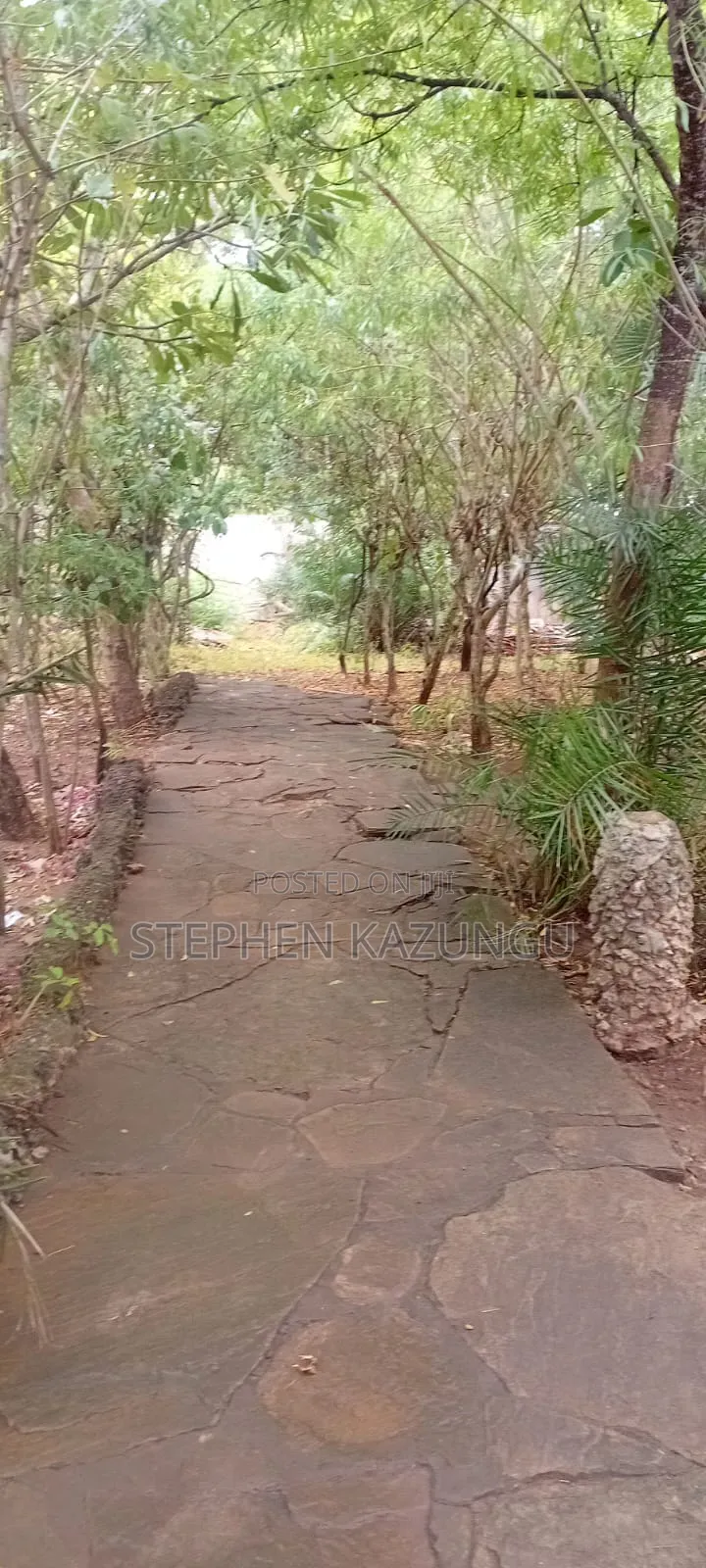 Galu Beach 3/4 Acre Plot Size With Houses, 3 Minutes to the Beach.