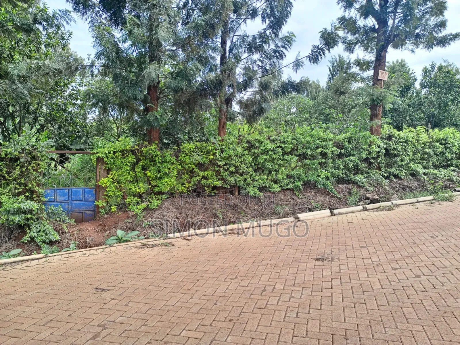 Kiu Kenda Estate Chui Court Prime Residential Fully Serviced 1acre