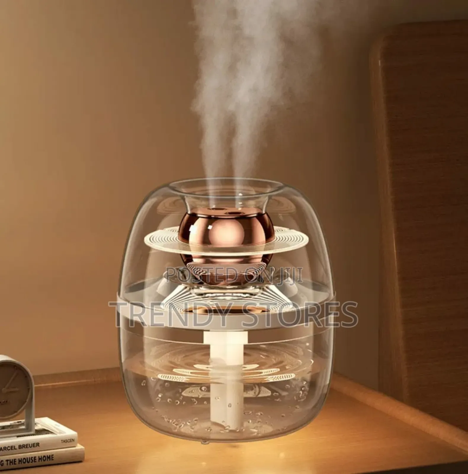 Mist Humidifier