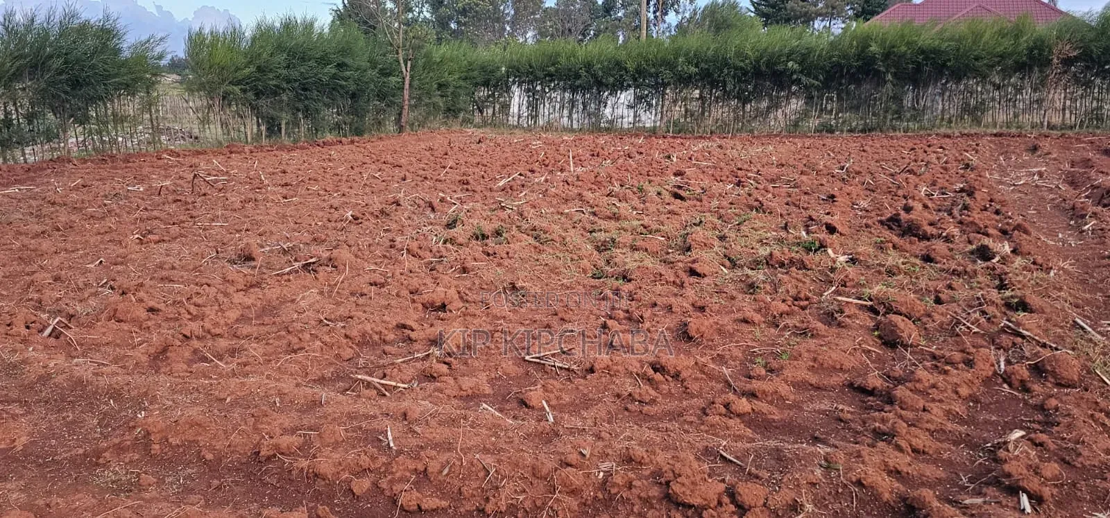 Prime 1⁄4 Plot for Sale in Chepkanga Eldoret