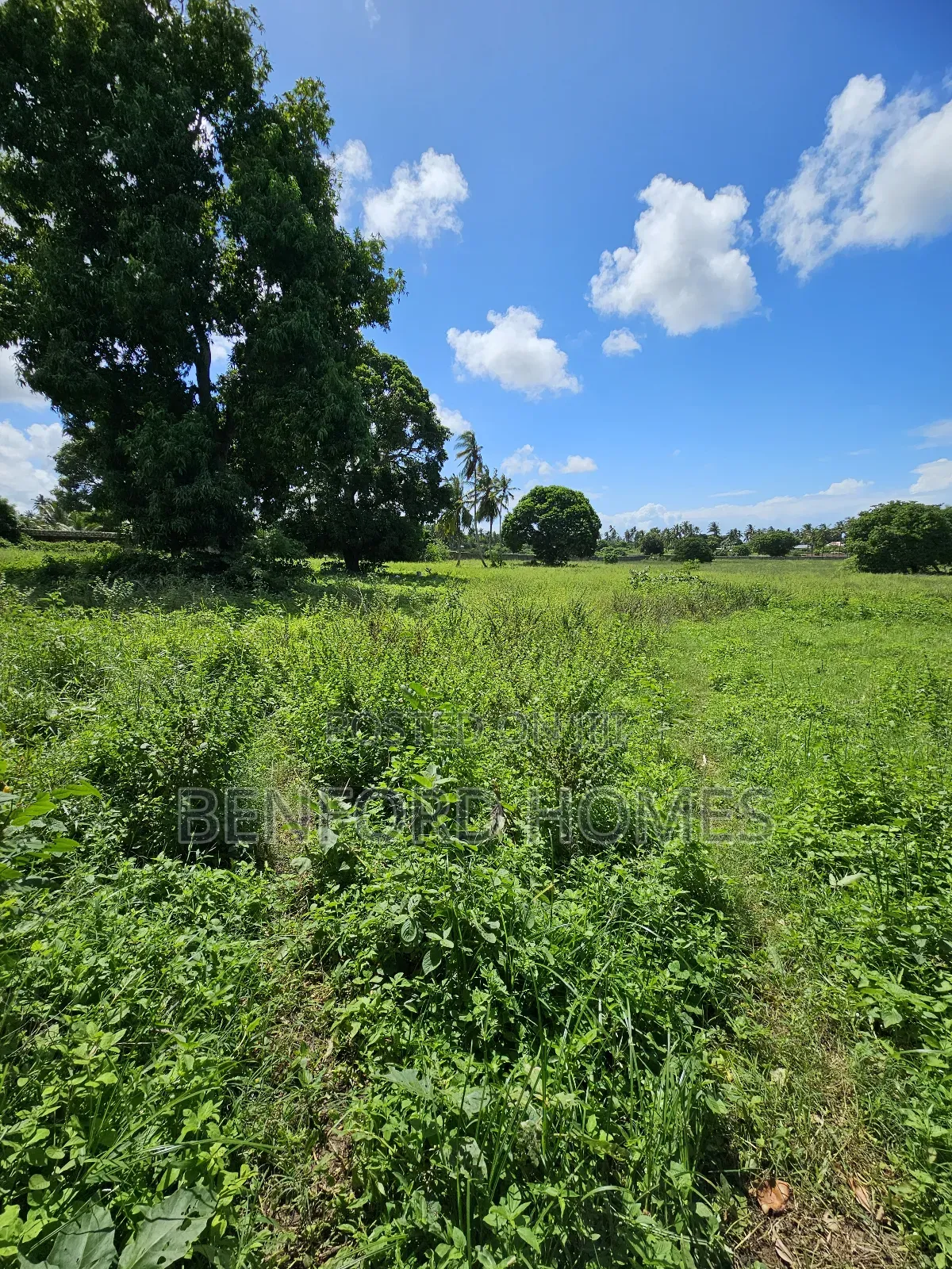 5 Acres of Land With a Perimeter Wall Fence on Sale Kikambala Bomani