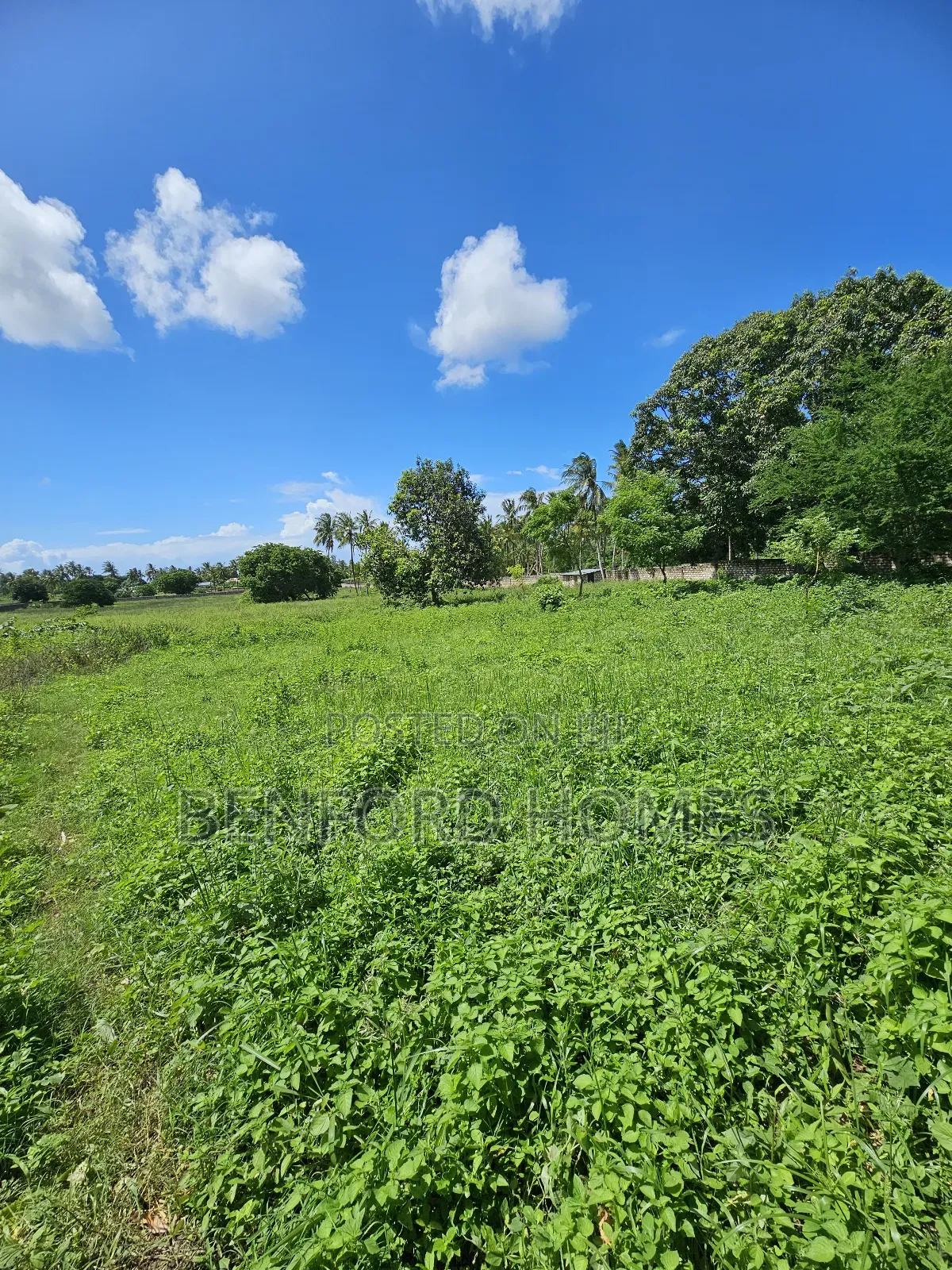 5 Acres of Land With a Perimeter Wall Fence on Sale Kikambala Bomani