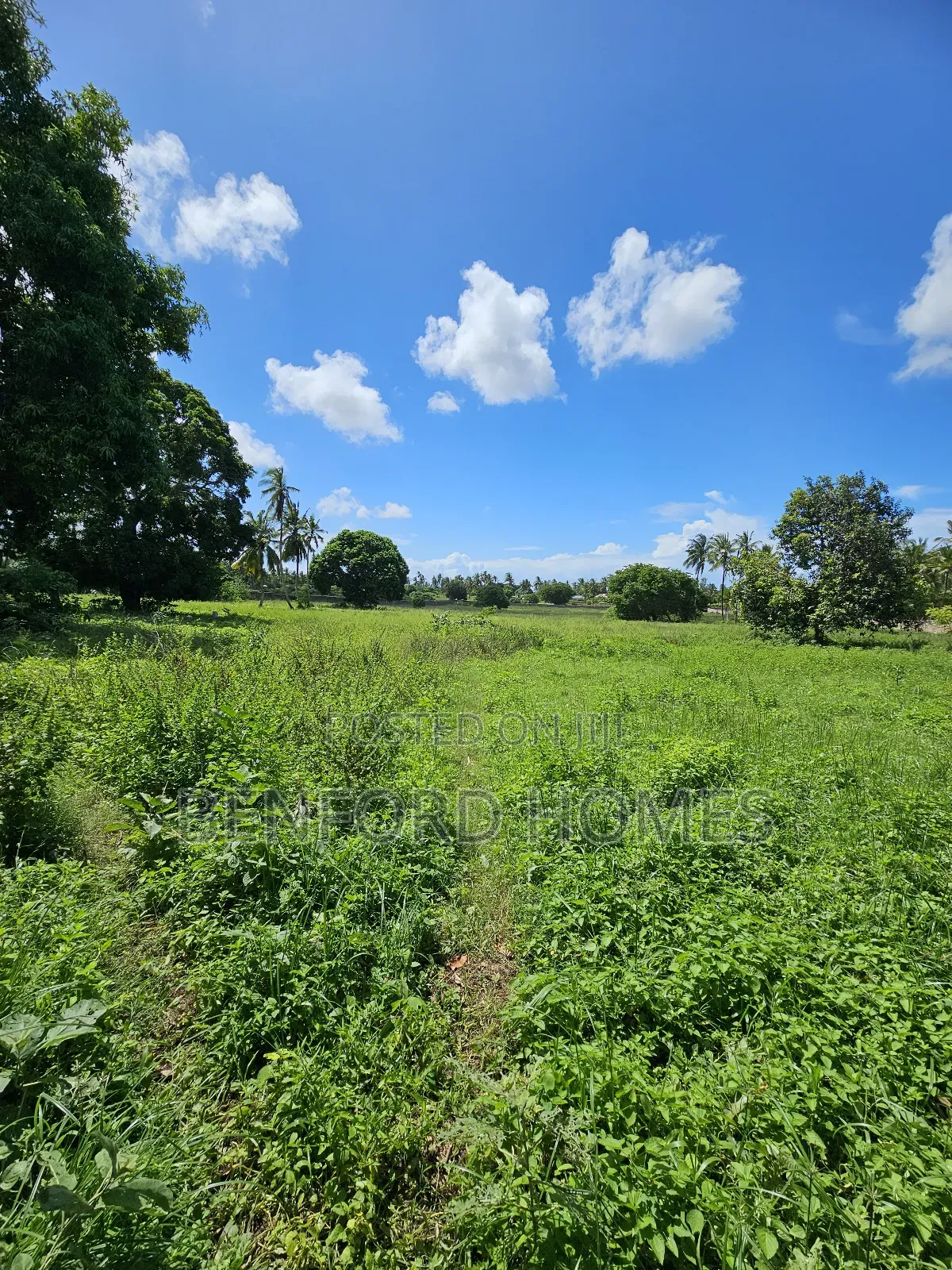 5 Acres of Land With a Perimeter Wall Fence on Sale Kikambala Bomani