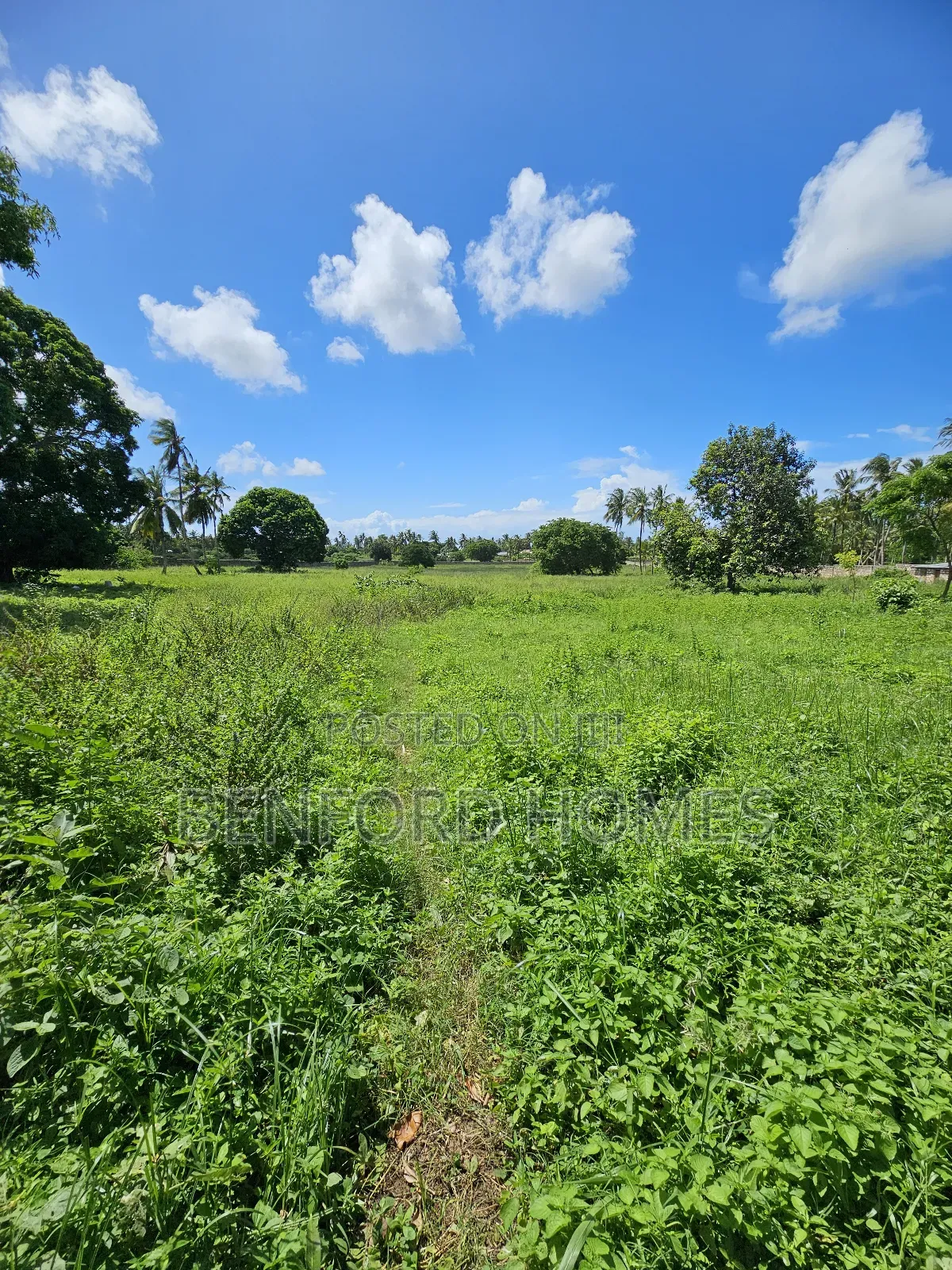 5 Acres of Land With a Perimeter Wall Fence on Sale Kikambala Bomani