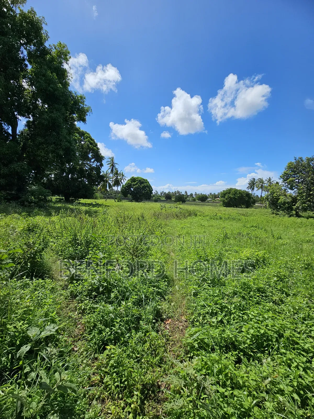 5 Acres of Land With a Perimeter Wall Fence on Sale Kikambala Bomani
