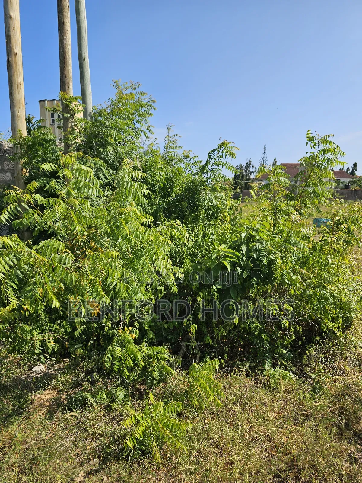 Quarter Acre Piece of Land With Perimeter Wall Fence on Sale Shanzu