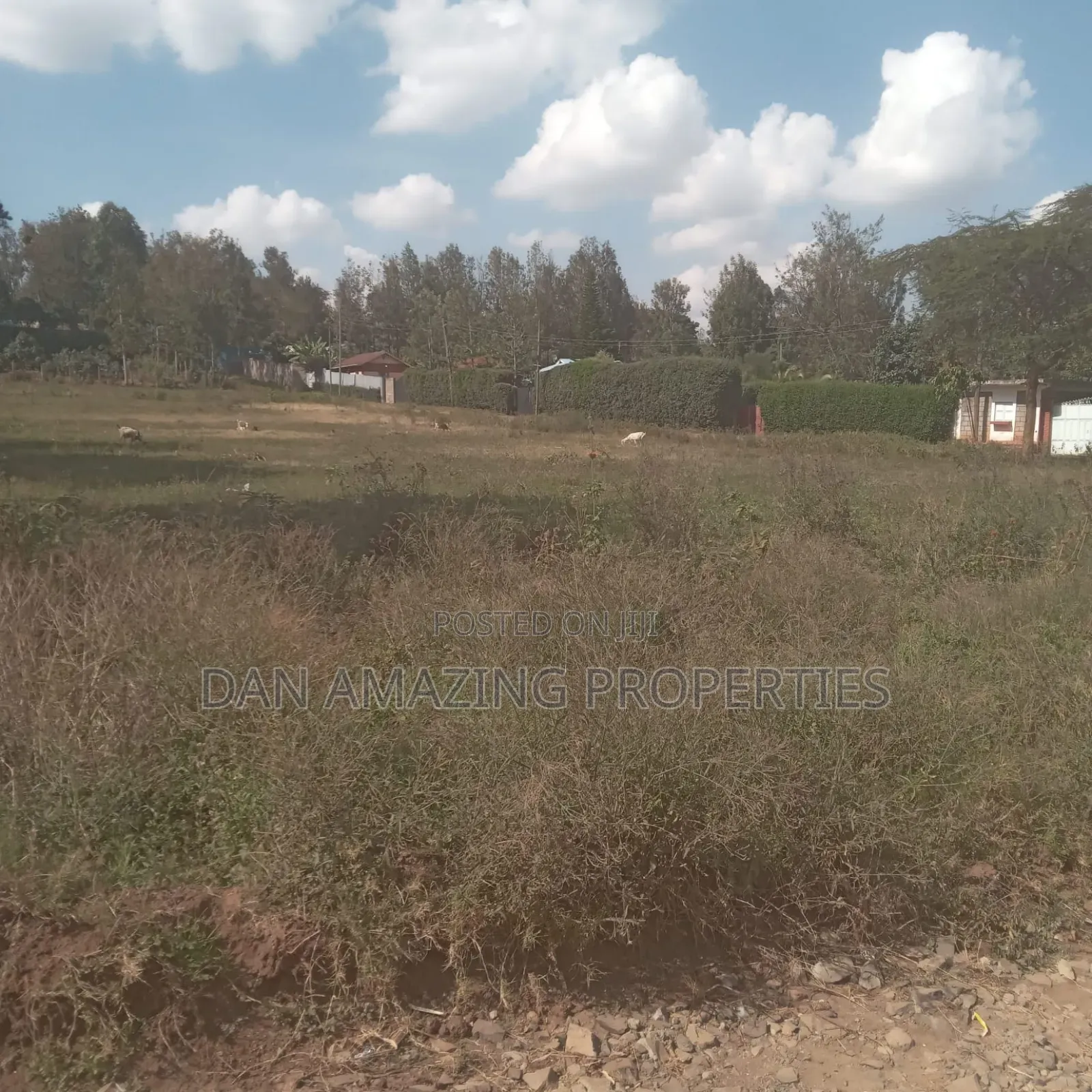 3 Plots of 50 by 100 Ngong Ololua for Sale as a Block With One Title